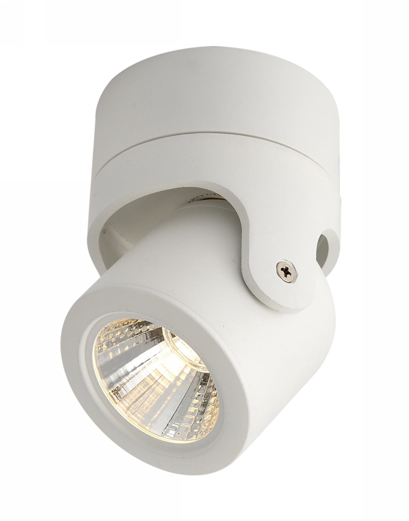 Eda 10 Indoor Surface Mounted Luminaires Dlux Multidirectional Surface Mount